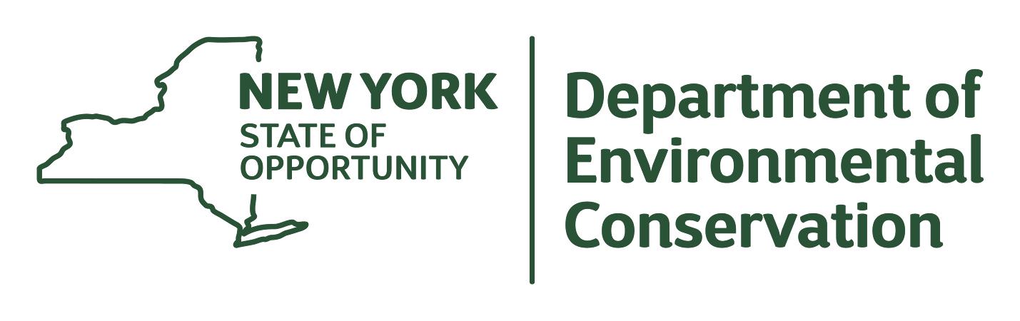DEC official logo image, green