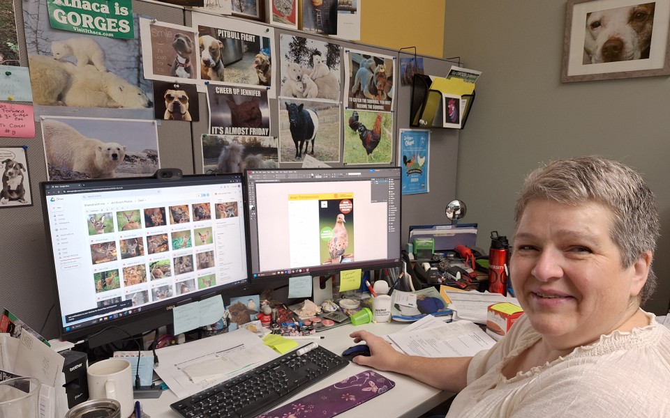 At desk with computer screens