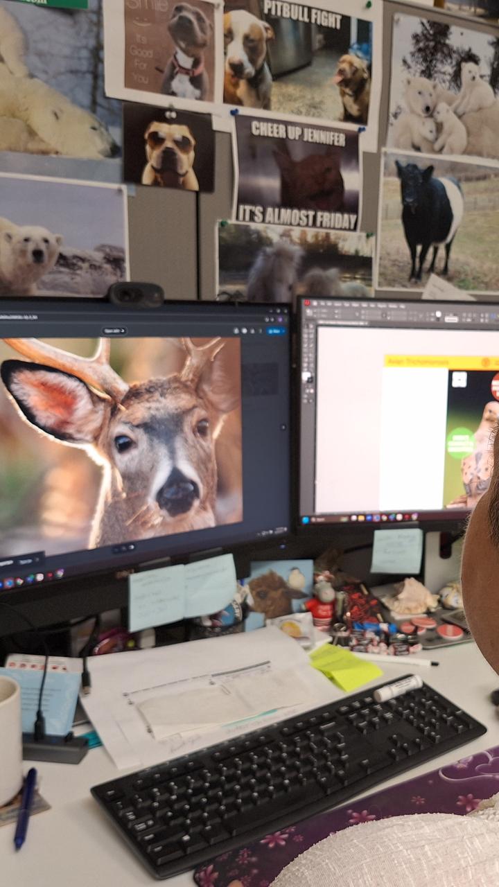 Jennifer viewing an image of a deer on a computer display