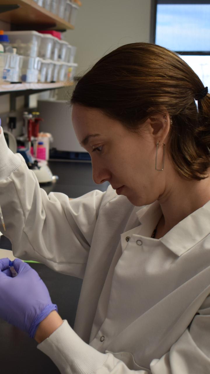 Dr Kaganer preparing DNA samples for testing.