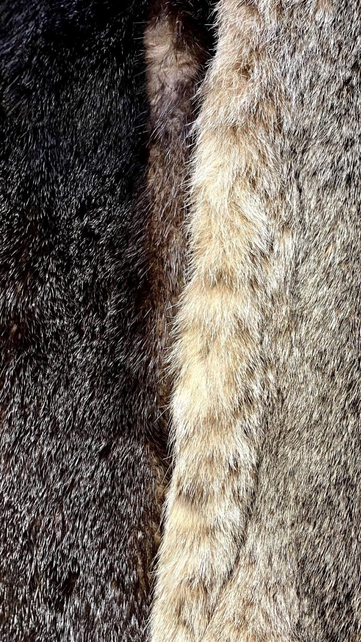 Close up of fur pelts from assorted furbearers