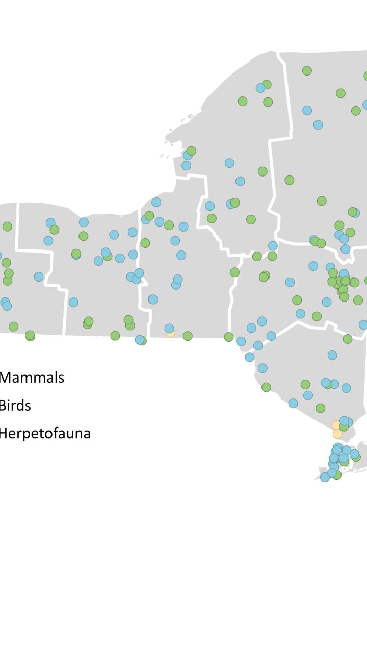 map of wildlife cases 2024 Q4