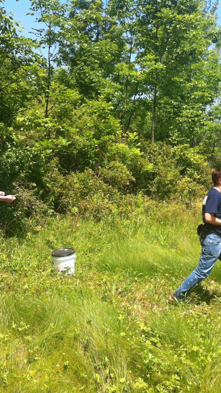 In the field with the USDA, tracking down feral hogs