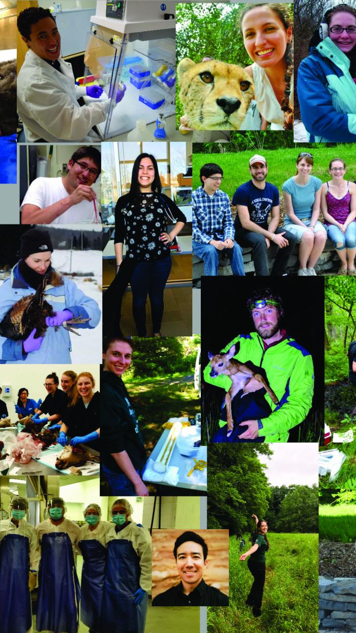 Collage of all students