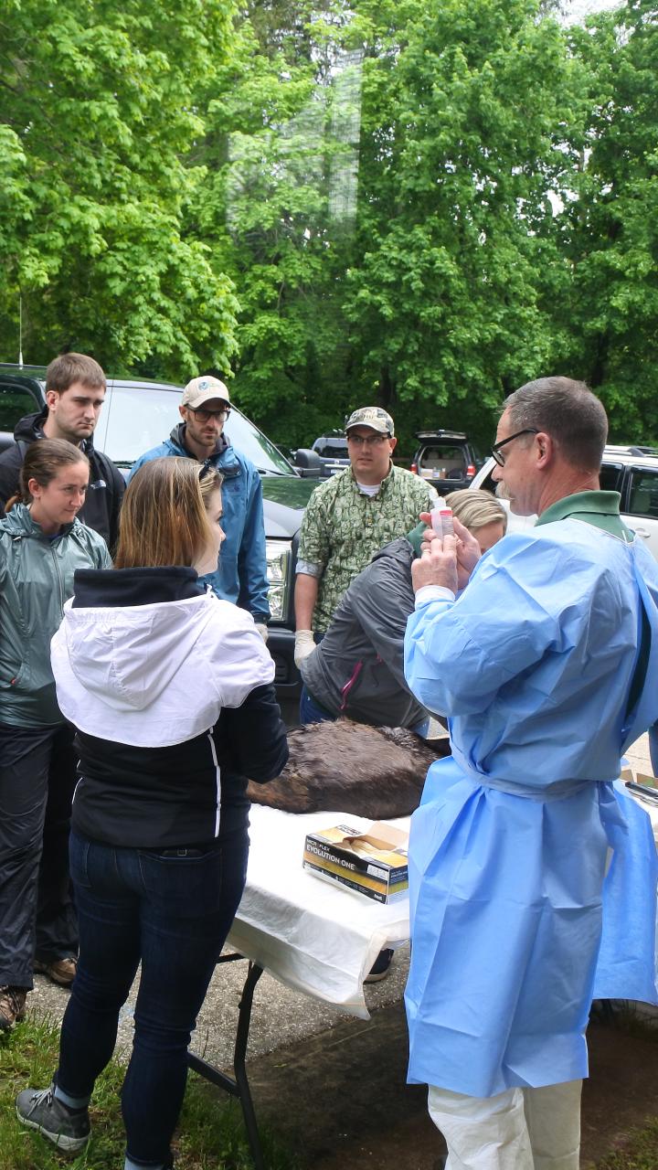 DEC Wildlife Health Program workshop