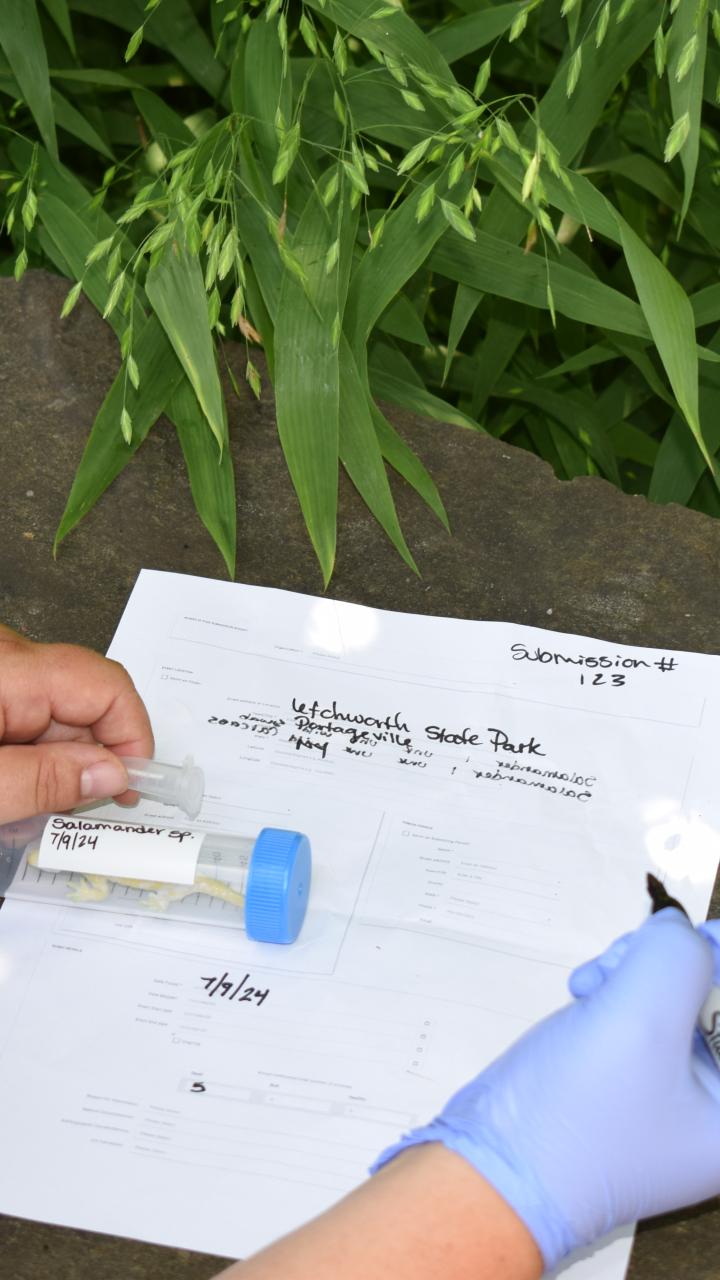 filling out paperwork