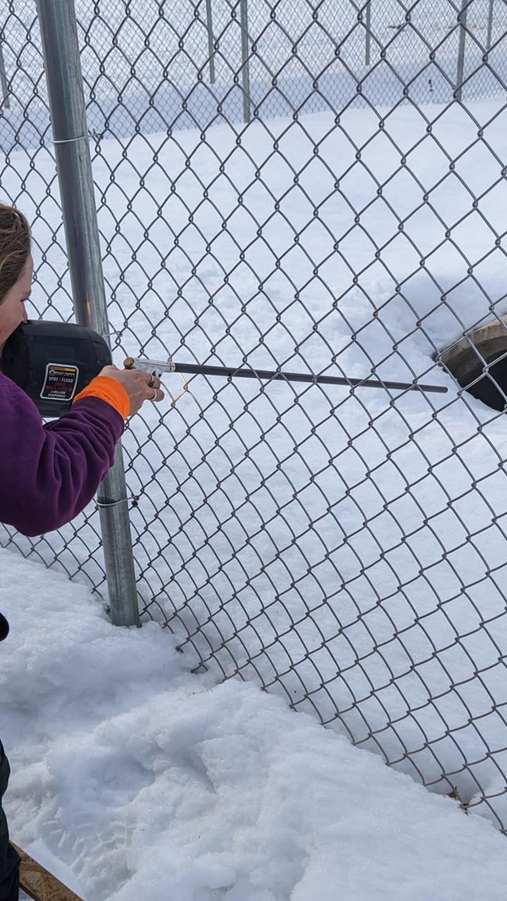 woman darting bear in tunnel