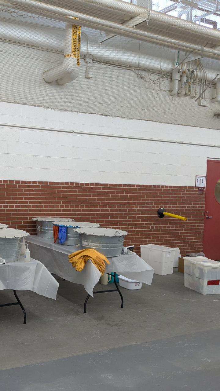 tables with tubs of water