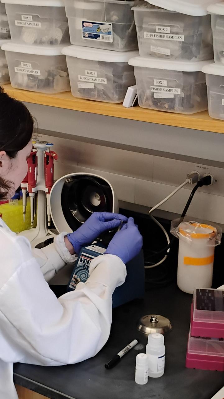 woman handling samples in a lab