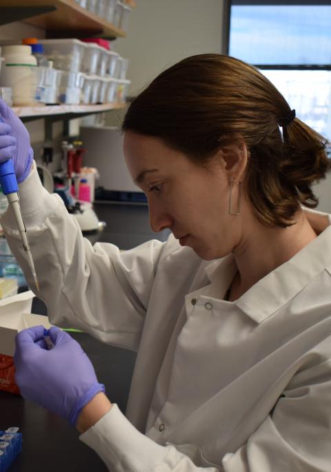 Dr Kaganer preparing DNA samples for testing.