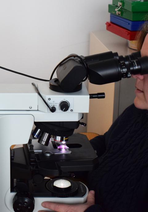 Dr Buckles at the scope