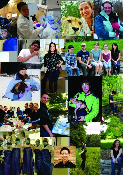 Collage of all students