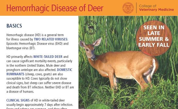 Thumbnail of HD fact sheet crop