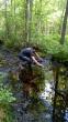 Cornell DVM student, Sean Stapleton collecting water samples for eDNA testing