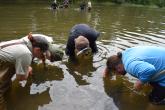biologists investigating flat rocks for hellbender dens/hideouts