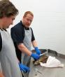 Lymph node extraction from deer head