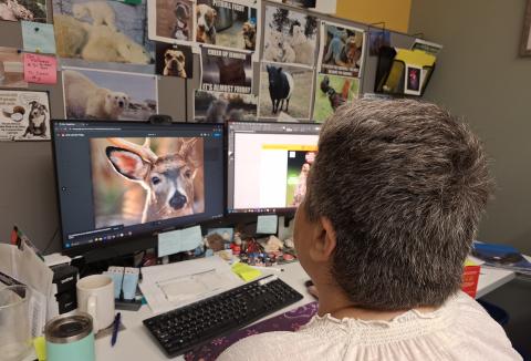 Jennifer viewing an image of a deer on a computer display