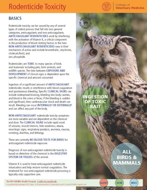 thumbnail of rodenticide fact sheet
