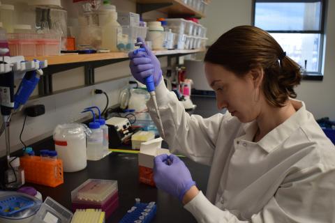 Dr Kaganer preparing DNA samples for testing.