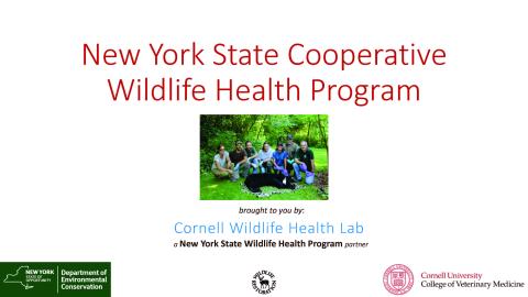 Thumbnail of title slide