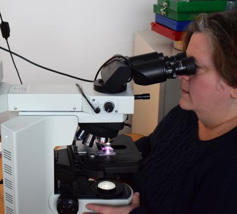 Dr Buckles at the scope