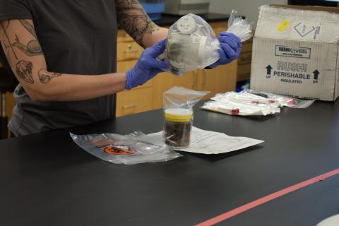 Melissa examining multiple wildlife samples and preparing them for diagnostic testing throughout the labs.