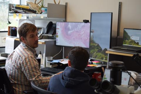 Dr. Hitchener discussing a histopathology slide with an anatomic pathology resident.