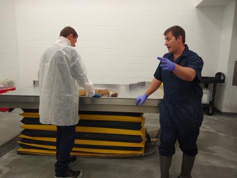 Dr. Hitchener explaining necropsy protocols for a bobcat during a visit from Steve Rinella from the MeatEater podcast.
