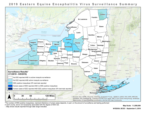 2019 EEE Virus Surveillance Summary map