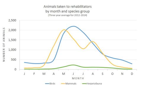 This graph shows average numbers of birds, mammals, and herpetofauna (reptiles and amphibians) brought to wildlife rehabilitators each month for the years 2012 through 2014.