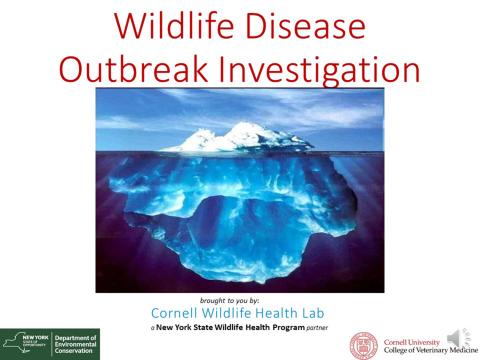 Thumbnail of title slide