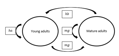 Thumbnail of life history diagram