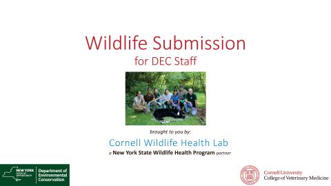 Thumbnail of title slide