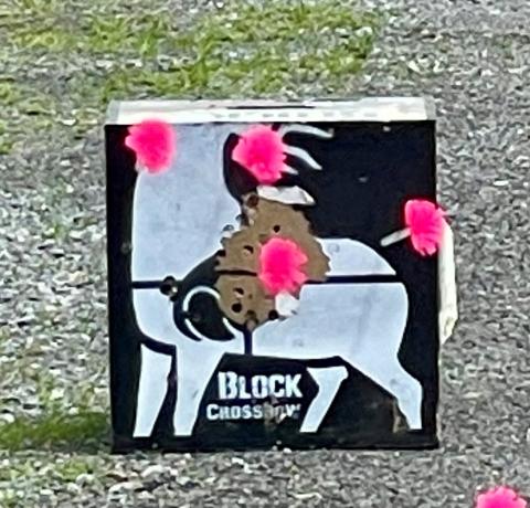 training target with darts in it