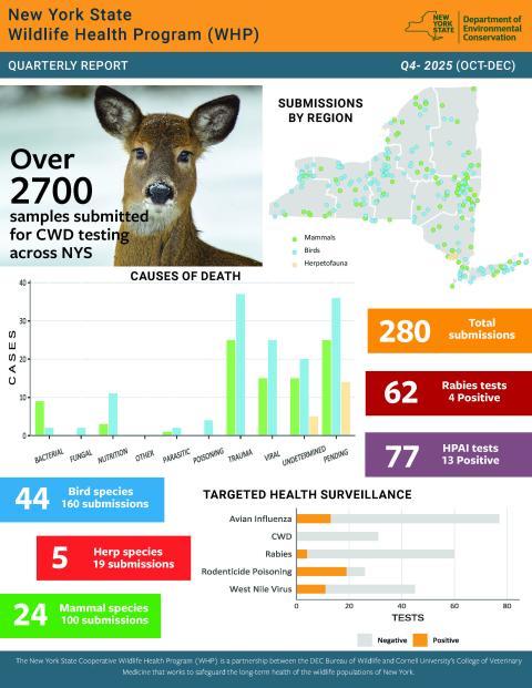 Thumbnail of Q4 2025 WHP Report