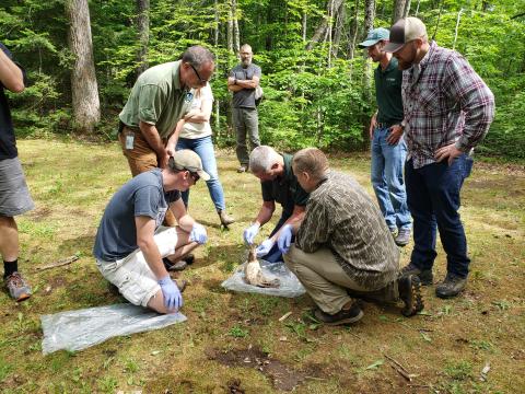 Kevin instructing DEC personnel during biannual workshops