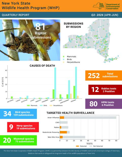 Thumbnail of report for WHP Q2 2026