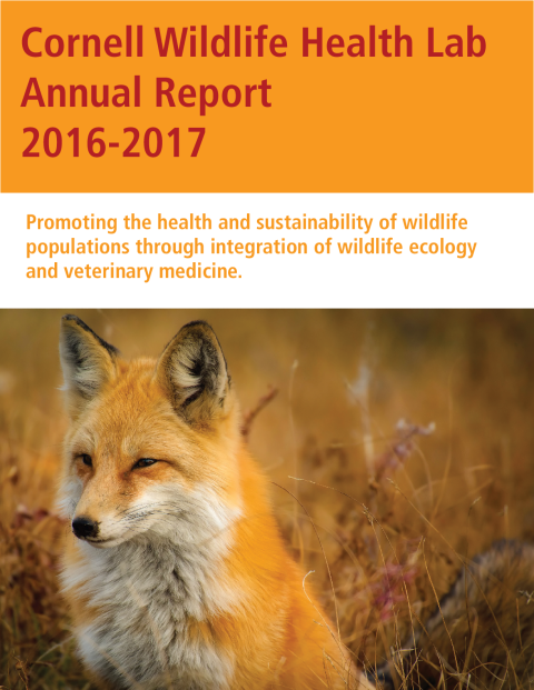 NYS WHP Annual Report 2016-2017