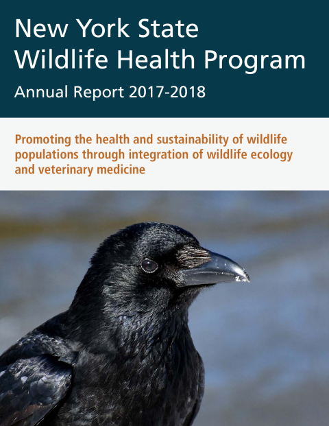 NYS WHP Annual Report 2017-2018