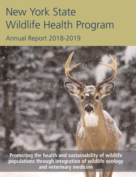 NYS WHP Annual Report 2018-2019