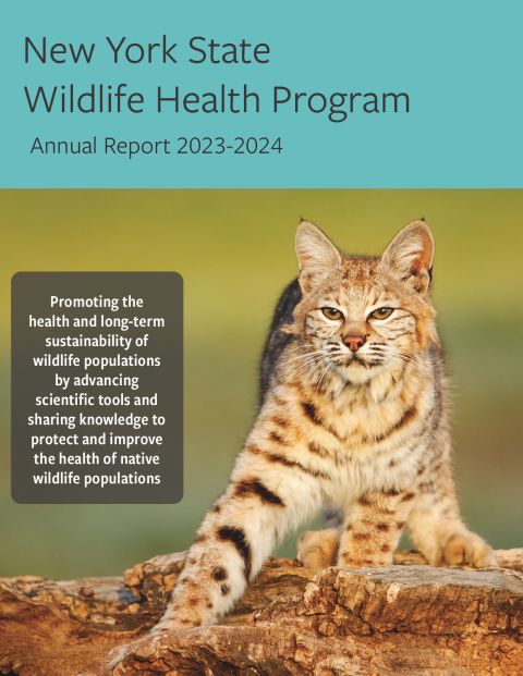 NYS WHP Annual Report 2023-2024