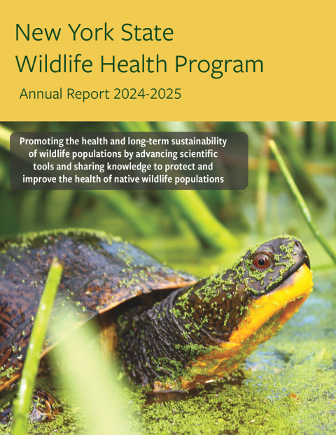 NYS WHP Annual Report 2024-2025