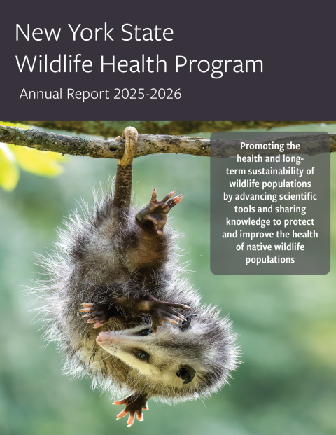 NYS WHP Annual Report 2025-2026