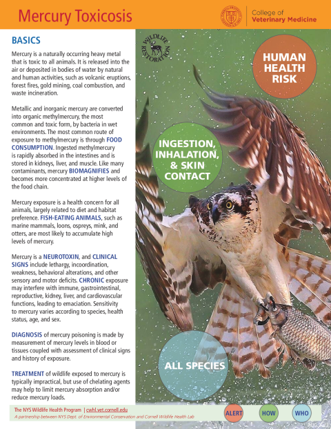 Mercury Toxicosis Disease Fact Sheet