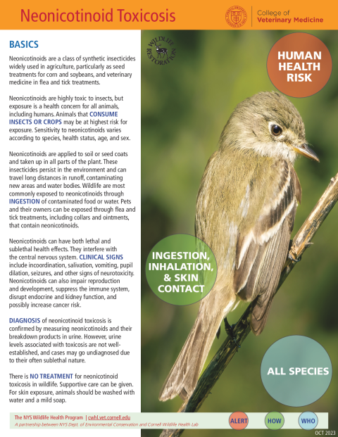 Neonicotinoid Toxicosis Disease Fact Sheet
