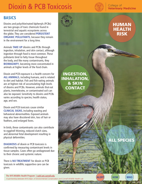 Dioxin & PCB Toxicosis Fact Sheet
