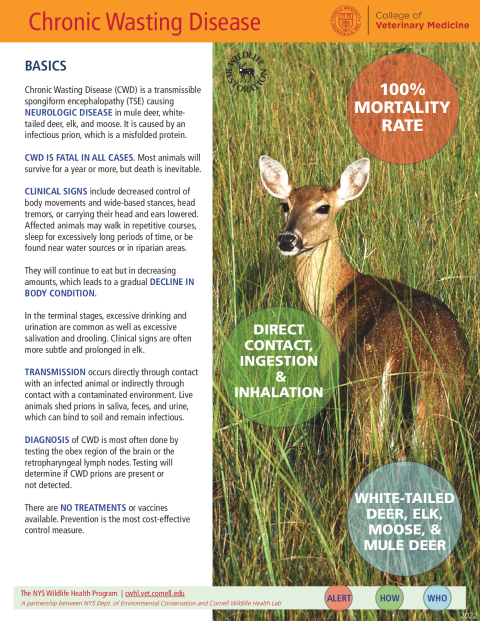 Chronic Wasting Disease (CWD) Fact Sheet