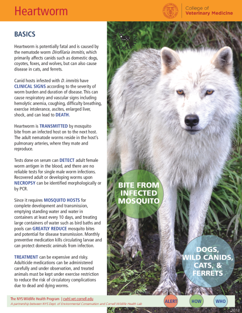 Heartworm Disease Fact Sheet