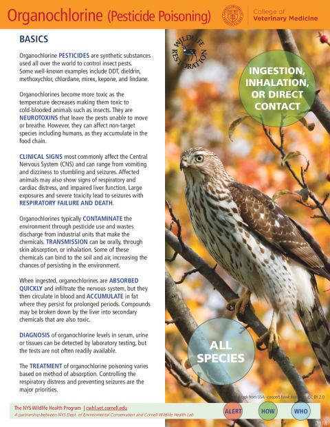 Organochlorine (Pesticide Poisoning) Disease Fact Sheet