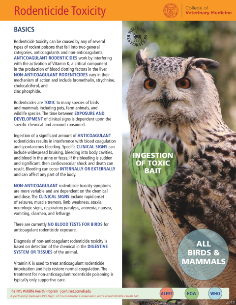 Rodenticide Disease Fact Sheet